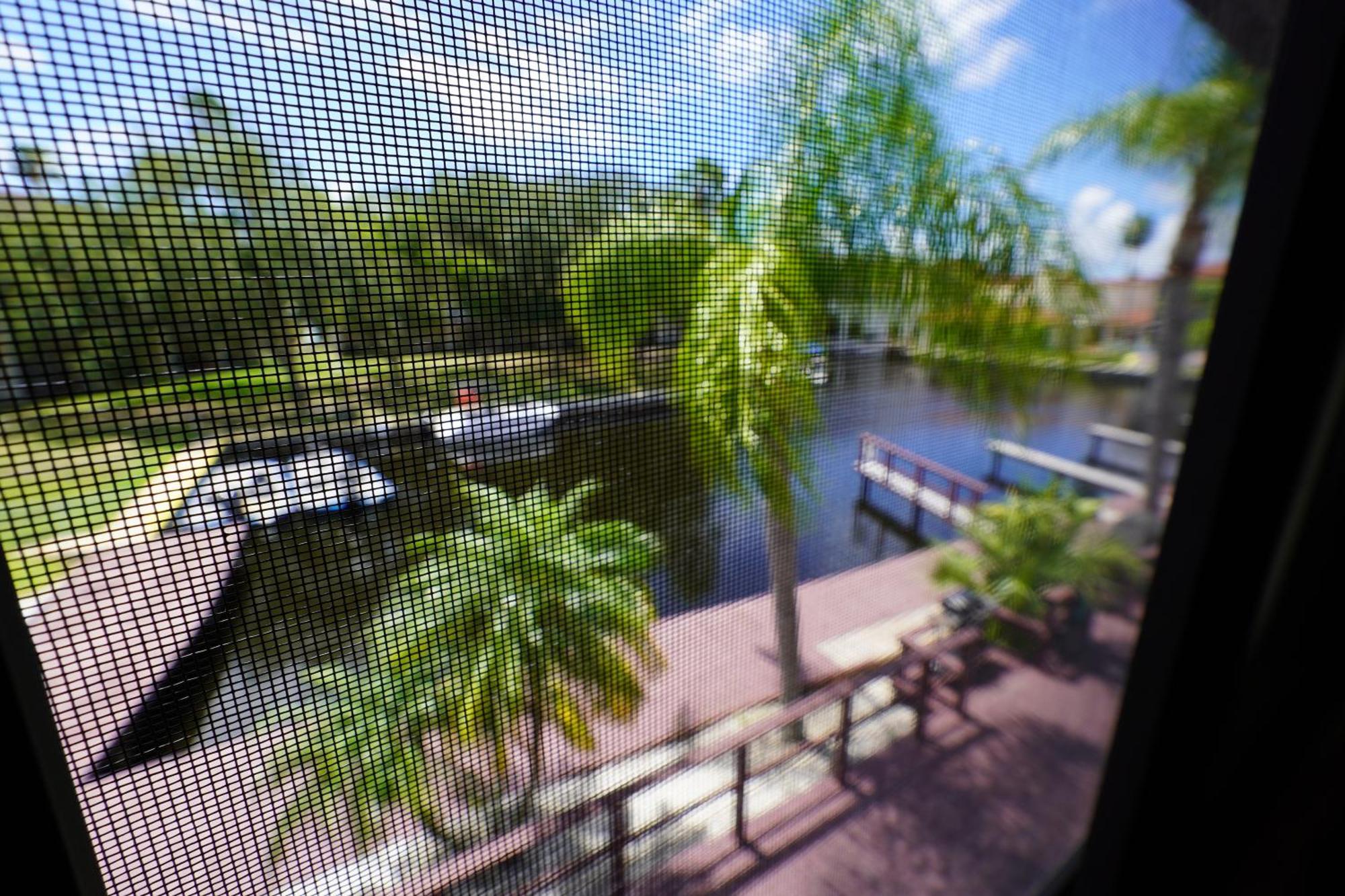 Florida Condos On Lake Tarpon Palm Harbor Zewnętrze zdjęcie